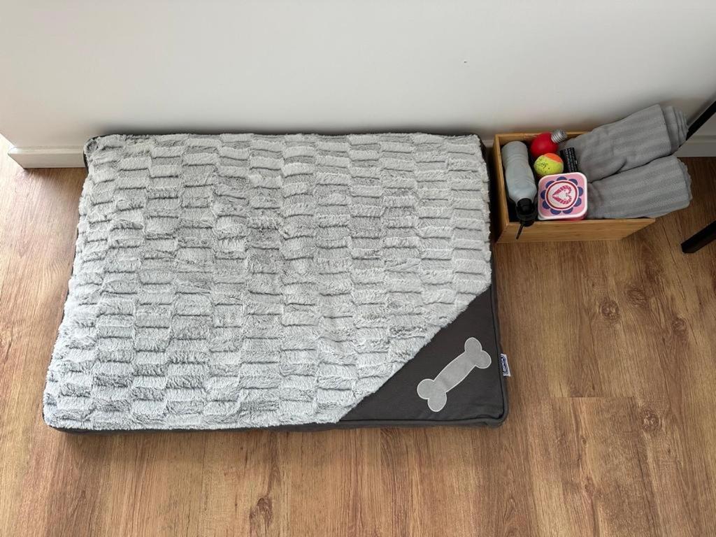 The Gaol House, Dog Friendly! Villa Kinlet Exteriör bild